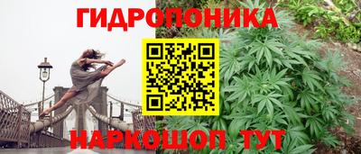 соль ск Кулебаки
