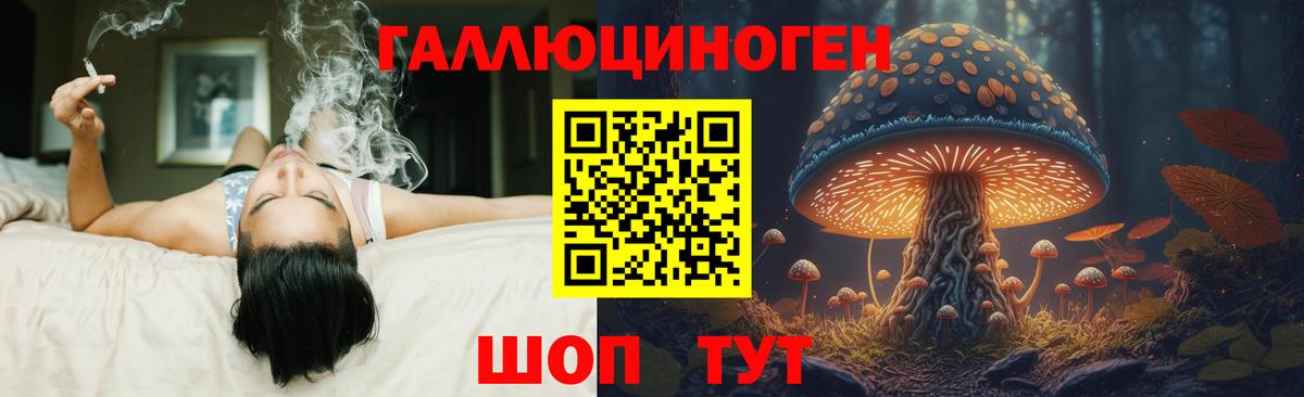 Шелехов  Галлюциногенные грибы мицелий  купить  сайты  Псилоцибиновые грибы Psilocybe  Вход с VPN 
